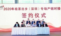 茶扎乡小学爆料新闻报道,揭秘校园背后惊人真相